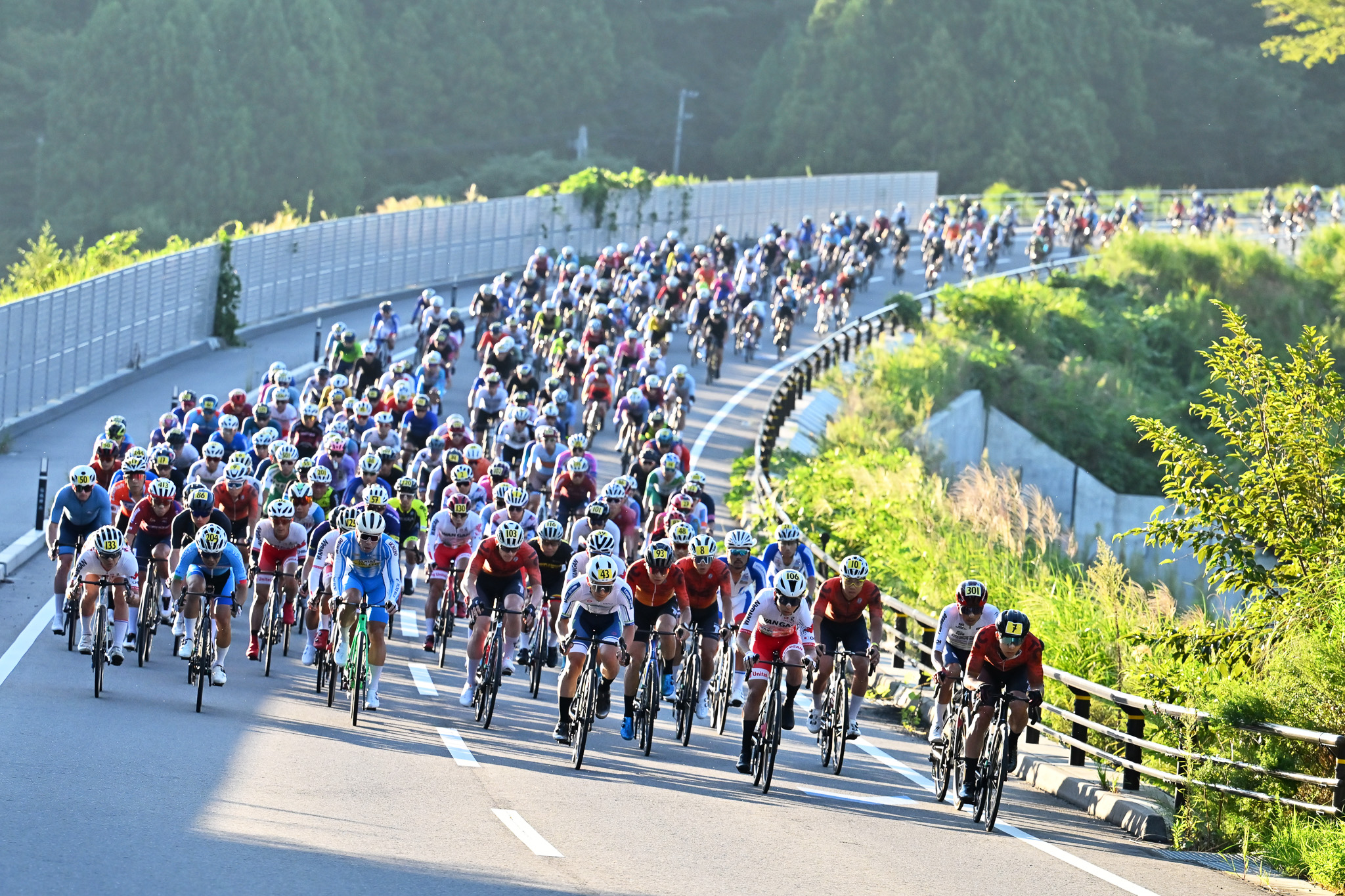 ファイティングロード 福岡 引き取り限定 ふくしま復興サイクルシリーズ｜公式サイト